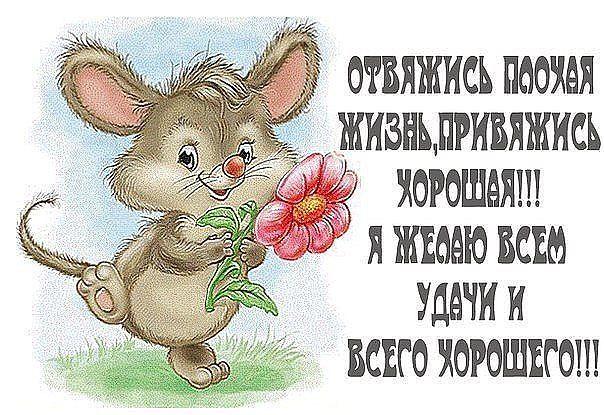 Статус удачи на день Статус удачи на день