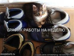 thumb_pre_1418238285__b.jpg