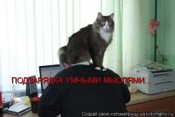 thumb_pre_1418238373__iw.jpg