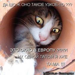 thumb_pre_1418238400__jc.jpg