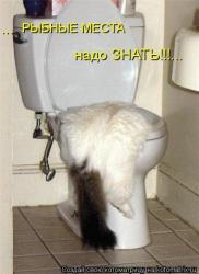 thumb_pre_1418238482__ru.jpg