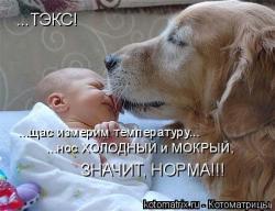 thumb_pre_1418238510__rx.jpg