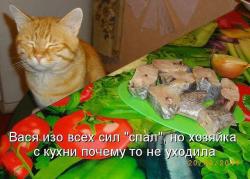 thumb_pre_1418550030__i_o3khmn0gi.jpg