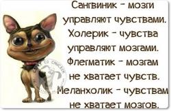 thumb_pre_1419163261__img_20141217_19515