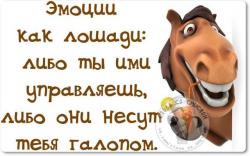 thumb_pre_1419163472__img_20141217_19551