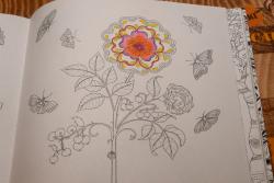 thumb_pre_1421103866__dsc_4776.jpg