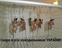 thumb_pre_1424974233__image_1.jpg