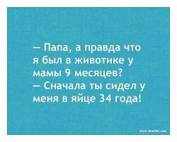thumb_pre_1427142085__image.jpg