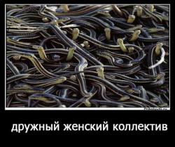 thumb_pre_1427732275__getimage.jpg