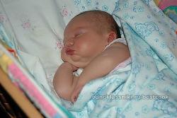 thumb_pre_1427743050__getimage_1.jpg