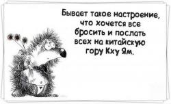 thumb_pre_1428247907__getimage.jpg
