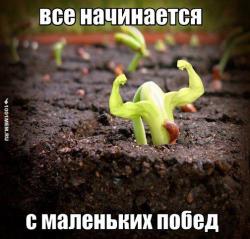 thumb_pre_1428698281__getimage.jpg