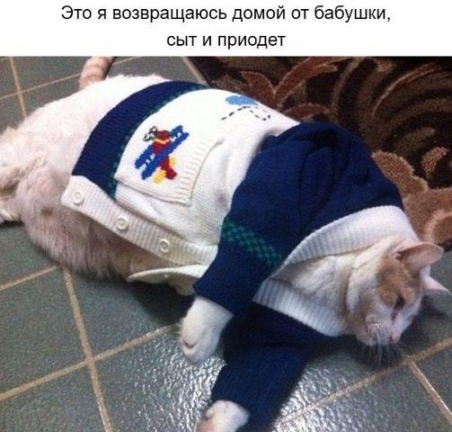 pre_1429770925__45e.jpg