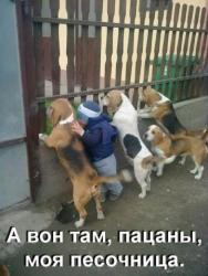 thumb_pre_1430499557__aujtsarkbrs.jpg