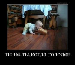 thumb_pre_1431180882__wyc3-zdcqjg.jpg