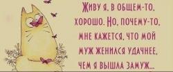 thumb_pre_1433241144__-oeyuafn4xe.jpg
