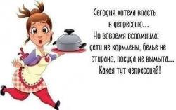 thumb_pre_1439447592__image_2.jpg