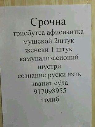 pre_1443726577__image.jpg