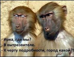 thumb_pre_1449001109__image.jpg