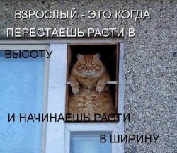 thumb_pre_1450895668__34.jpg