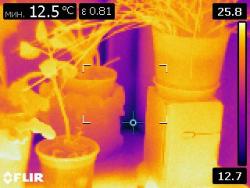 thumb_pre_1452543530__flir0719.jpg