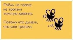 thumb_pre_1452847426__1.jpg