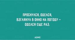 thumb_pre_1453716063__012.jpg