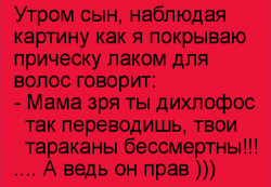 thumb_pre_1454318361__image.png