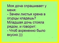 thumb_pre_1455279902__image.jpeg