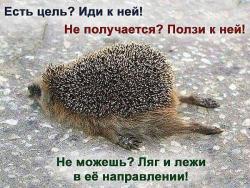 thumb_pre_1455440364__e0d20d96e6450abe95