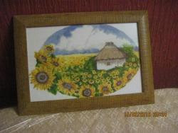 thumb_pre_1455570062__img_7827.jpg