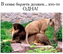 thumb_pre_1456323519__9qmyh_ih1kg.jpg