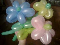 thumb_pre_1457295888__3831.jpg