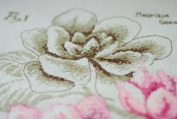 thumb_pre_1457870687__dsc_1882.jpg
