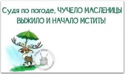 thumb_pre_1458550383__image.jpg