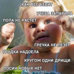 thumb_pre_1461786236__jbbnjf25qm4.jpg