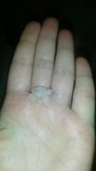 thumb_pre_1470851780__pv8vgsdwa_i.jpg