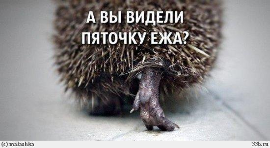 pre_1473161426__image.jpeg