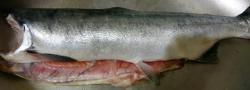 thumb_pre_1472020296__hh01idu8zem.jpg