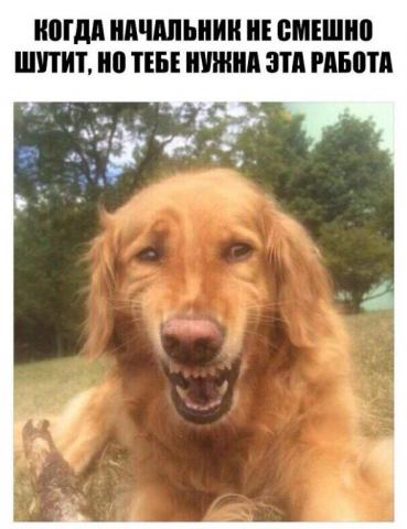 pre_1478171984__image.jpeg