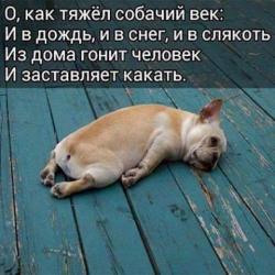 thumb_pre_1477930068__.jpg