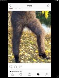 thumb_pre_1477930251__201610301220404349