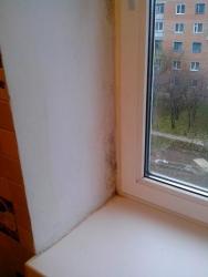 thumb_pre_1478436735__img_20161106_14494