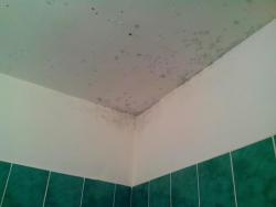 thumb_pre_1478436832__img_20161106_14522
