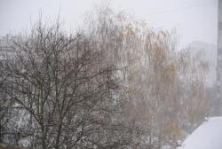 thumb_pre_1479026798__dsc_9237.jpg