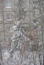 thumb_pre_1479026798__dsc_9244.jpg