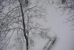 thumb_pre_1479026798__dsc_9246.jpg