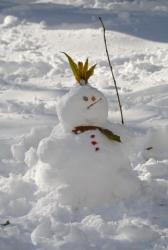 thumb_pre_1479279586__dsc_9251.jpg