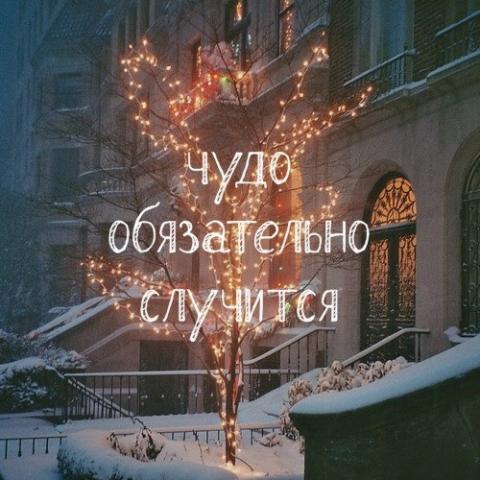 pre_1481837666__o50a47l86zk.jpg