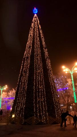 pre_1482527451__img_0382.jpg
